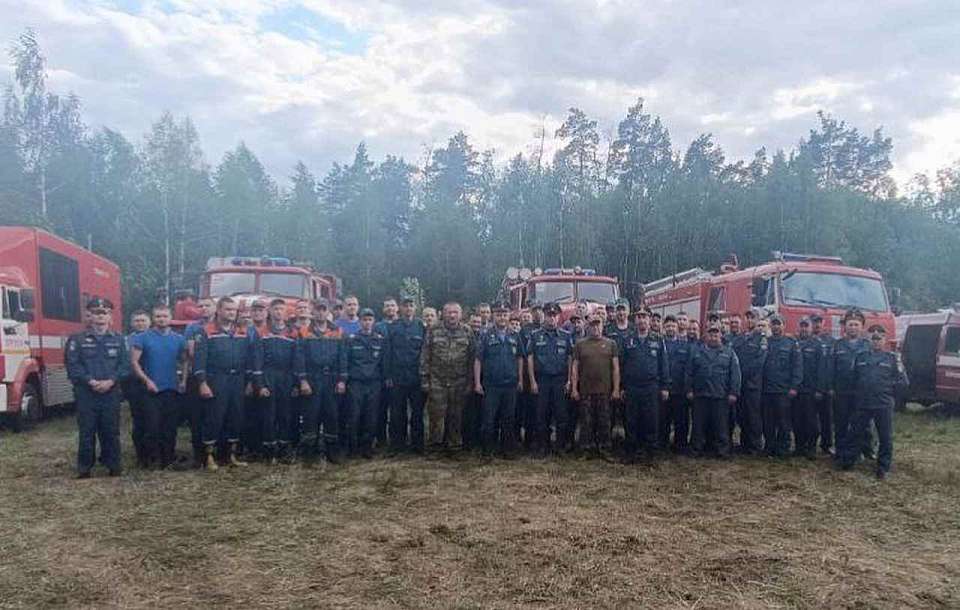 Пожарные несколько дней тушили пожар в Воронежском заповеднике