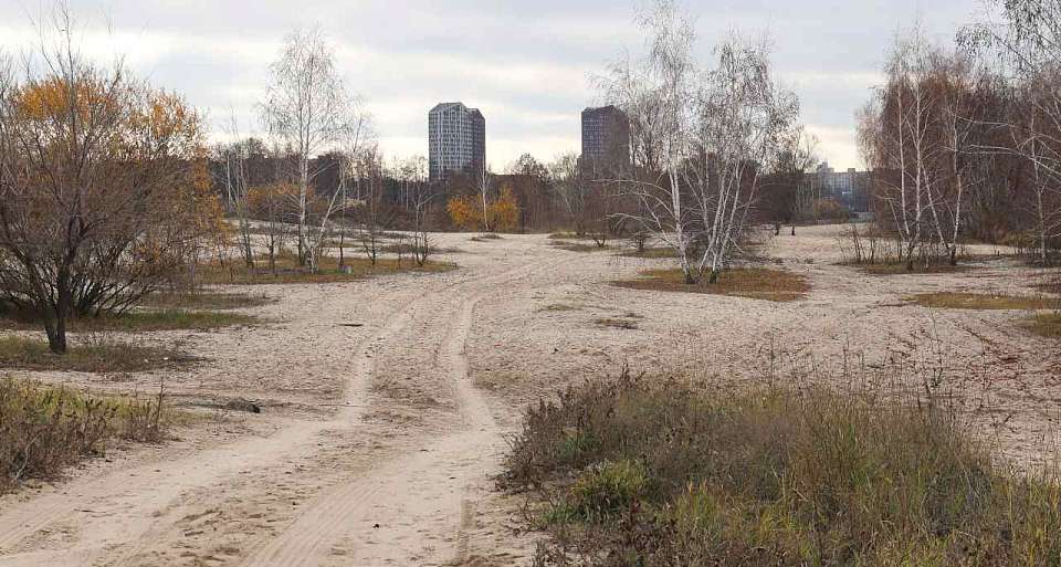 Пляжи, каток и скейт-парк хотят воронежцы видеть на набережной Артамонова