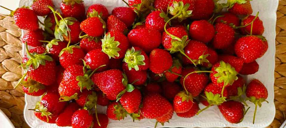 Стоит ли покупать клубнику из Краснодара в Воронеже по цене 600-800 рублей за килограмм?