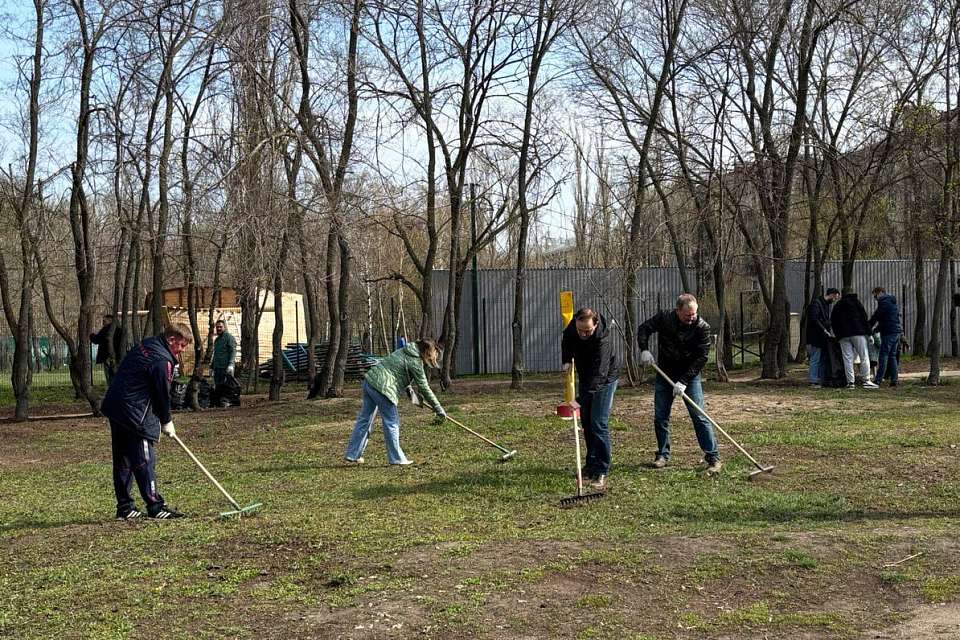 Итоги субботника обнародовали власти Воронежской области