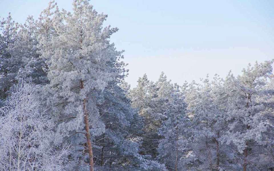 Мороз с небольшим снегом ожидают 14 января воронежцев