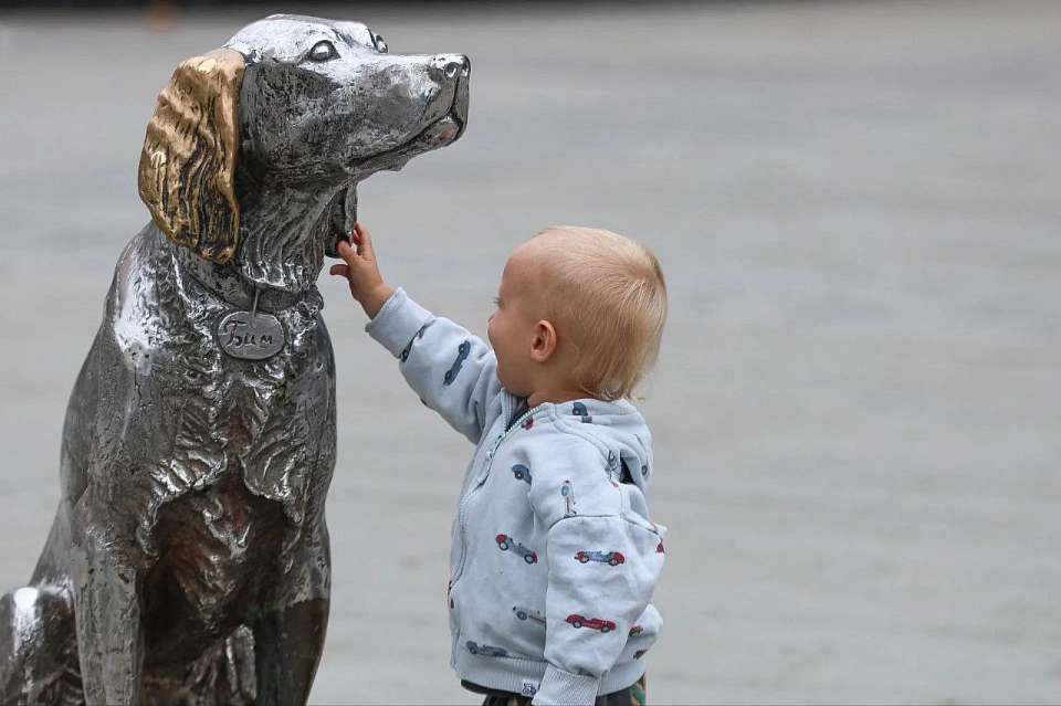 Мэр Сергей Петрин призвал горожан публиковать по выходным фото любимого Воронежа