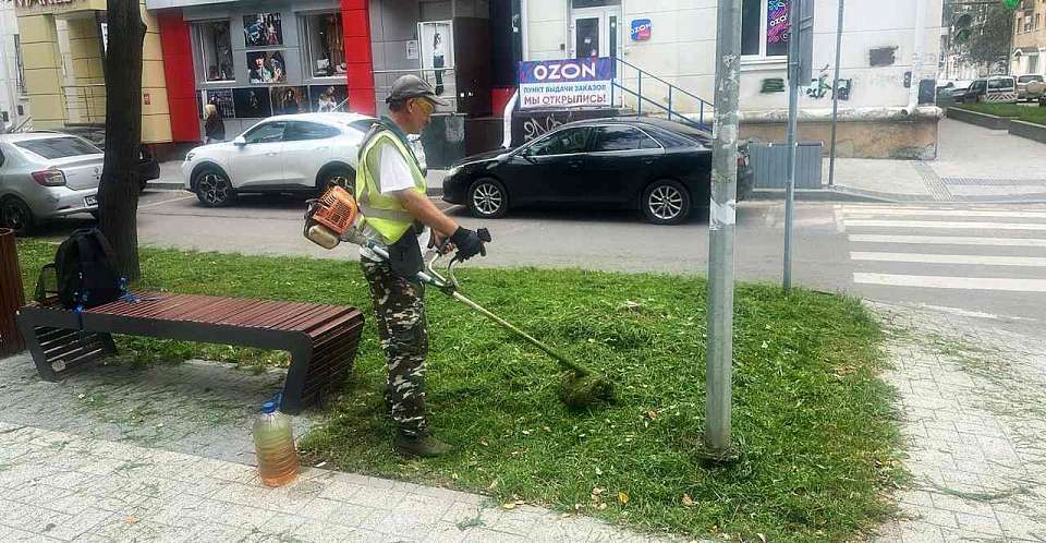 В Ленинском районе постоянно заботятся о зелёных насаждениях