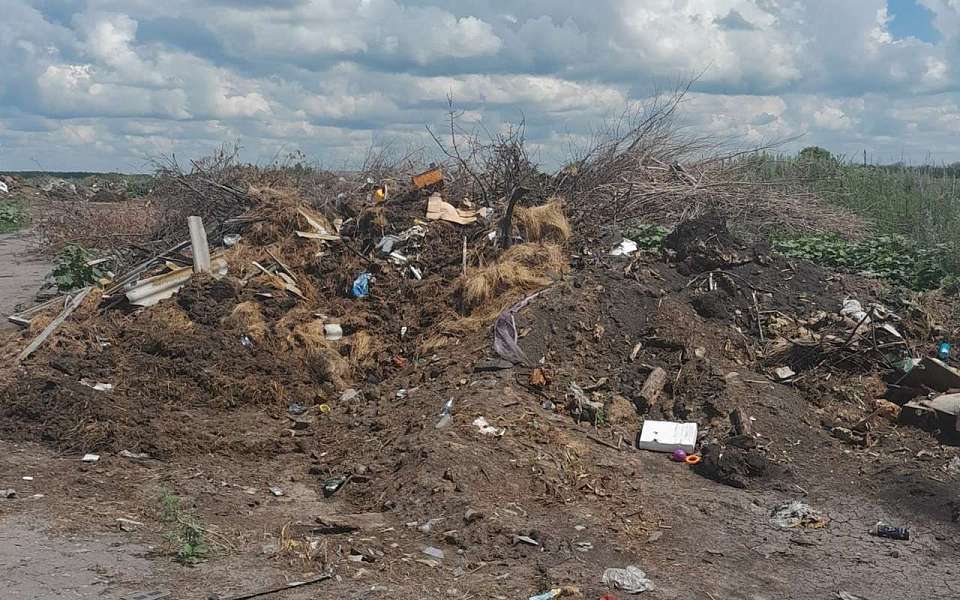 Почти 5 млн с арендатора участка в Воронежской области потребовал Россельхознадзор