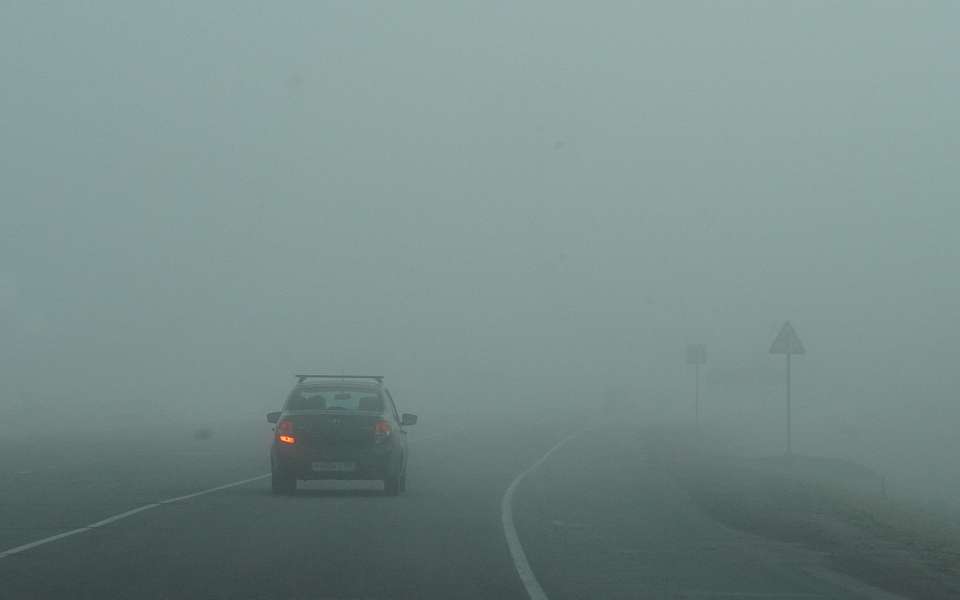 Туман и местами гололед спрогнозировали на 26 декабря воронежские синоптики