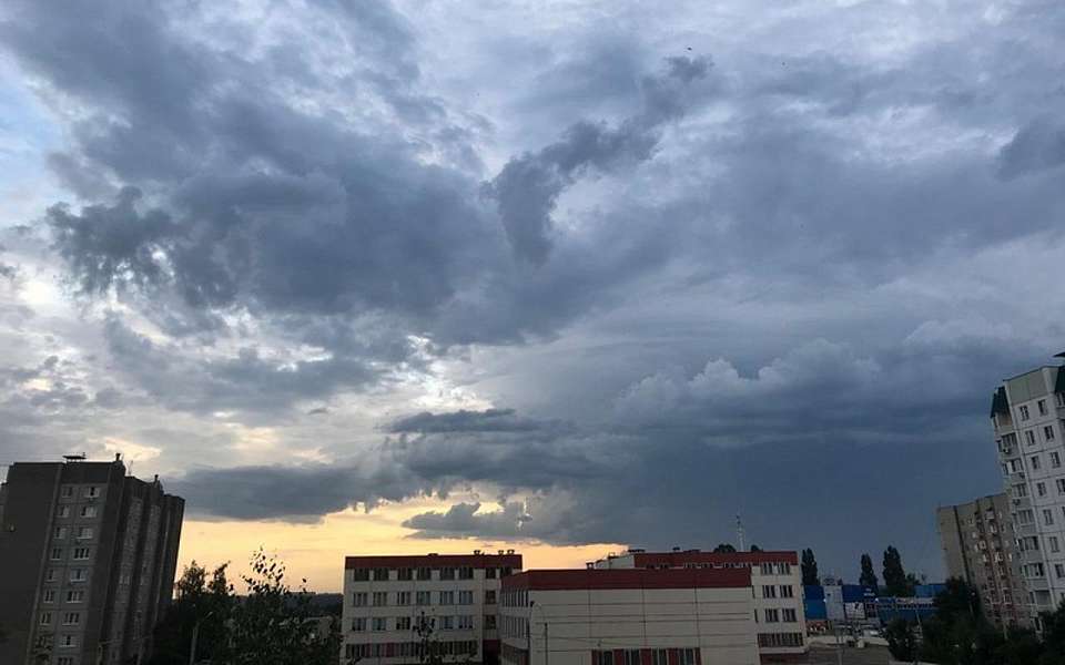 Жара усилится после тумана и грозы в Воронежской области