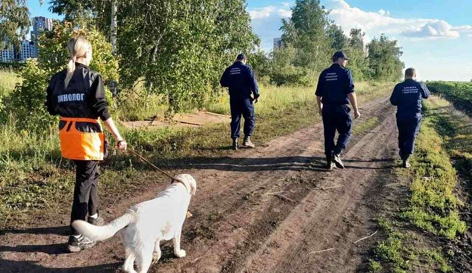 Воронежские добровольцы помогли найти 3-летнюю девочку, которая потерялась в поле с подсолнухами