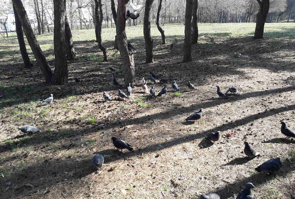 В Воронежской области ожидается резкое потепление до +11 градусов