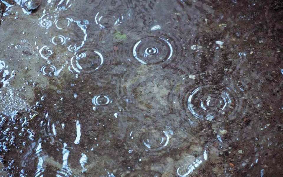 Ночные холода и дожди придут в выходные дни в Воронежскую область