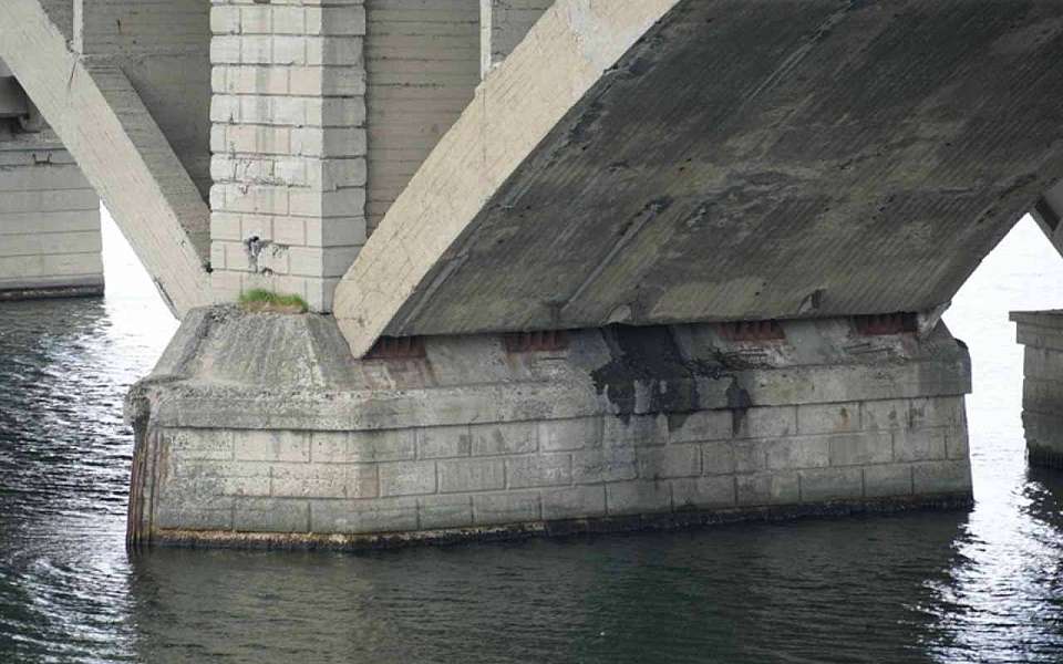 В Воронеже спасли чуть не упавшего с Чернавского моста пенсионера