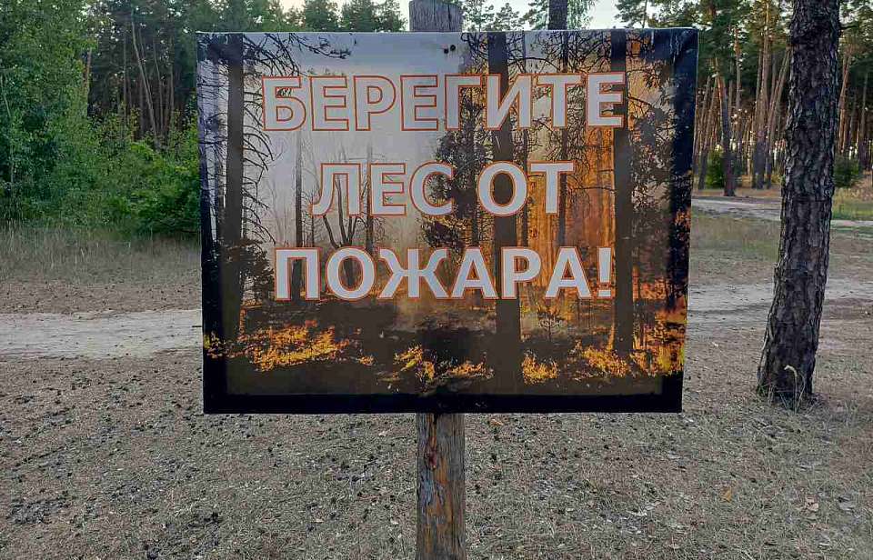 Выросли в Воронежской области риски возникновения ландшафтных пожаров