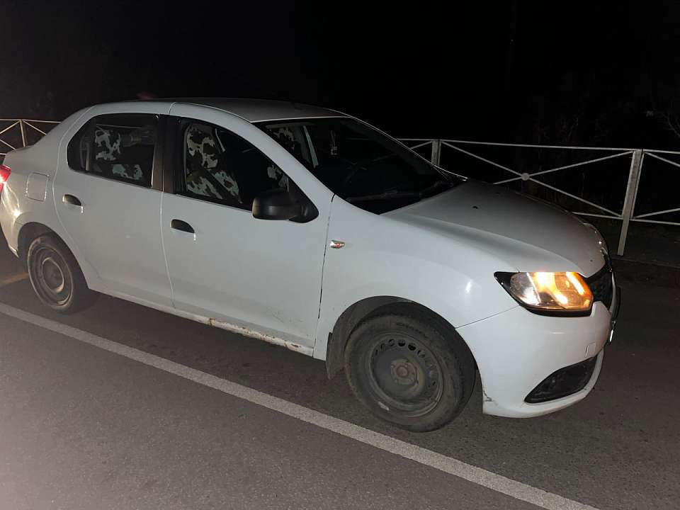 Автомобилистка на иномарке переехала односельчанина в Воронежской области