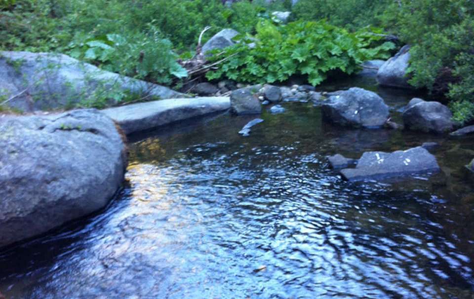 Родники с опасной для здоровья водой назвали в воронежском Роспотребнадзоре