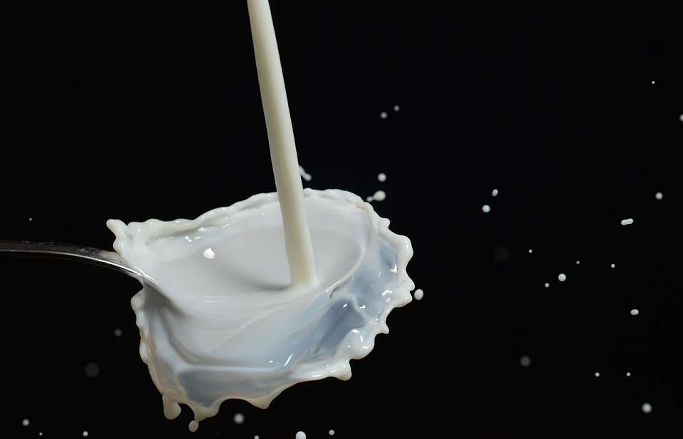 Изъяли из оборота 142 кг опасной молочной продукции в Воронежской области