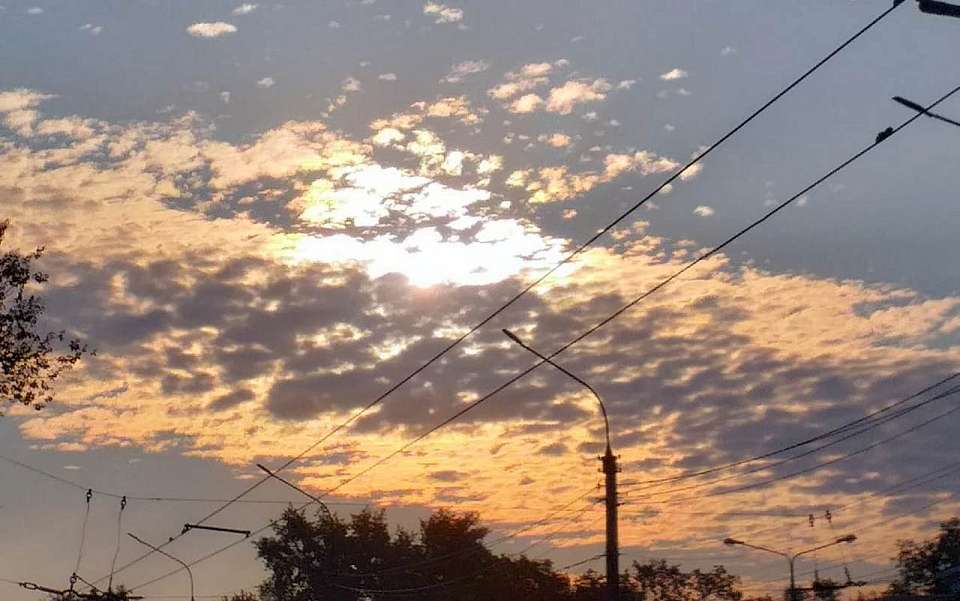 Аномальная 34-градусная жара придет в конце недели в Воронежскую область