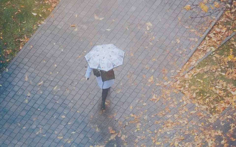 Дождливую и пасмурную погоду пообещали 24 ноября синоптики воронежцам