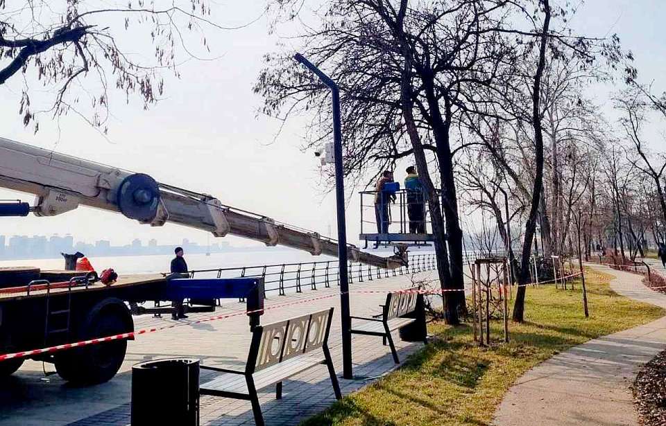 Уход за растениями на Петровской набережной в Воронеже оценили в 23 млн рублей