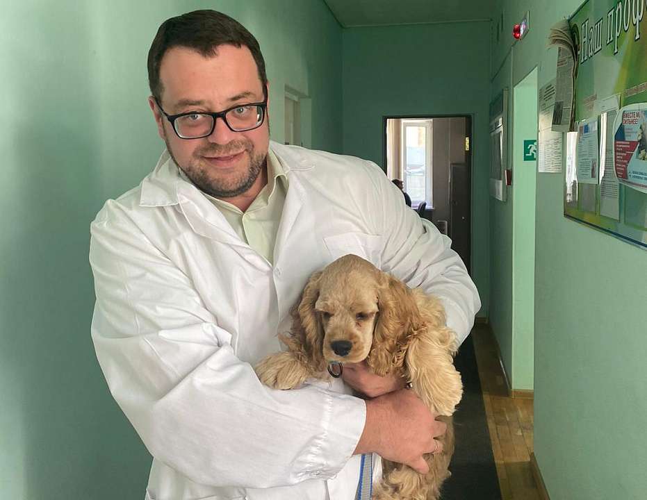 Главный воронежский ветеринар рассказал, как состояние животных отражает здоровье общества