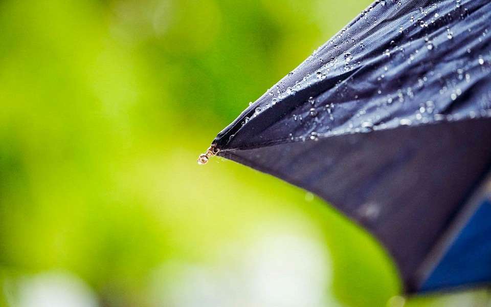 В выходные дождливая и теплая погода ожидается в Воронежской области