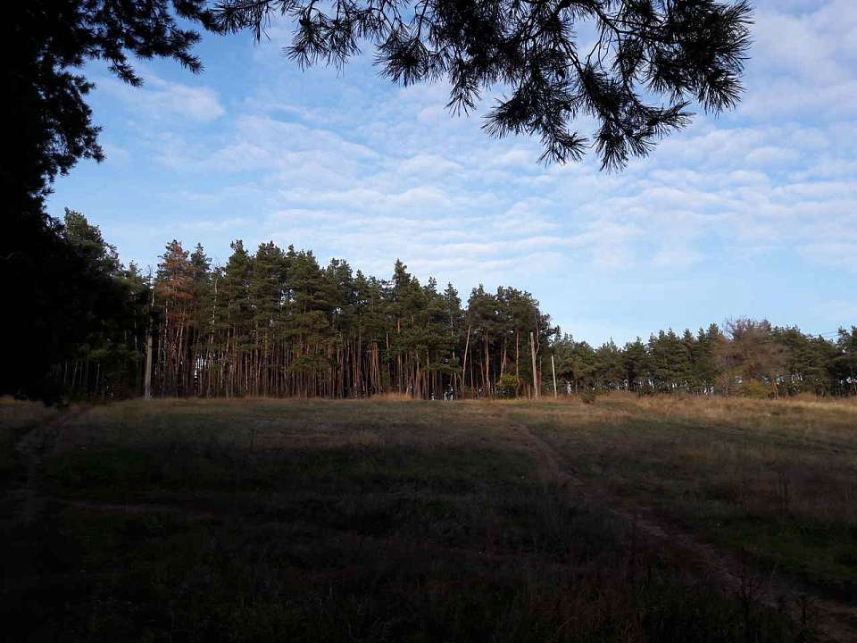 Уникальная система мониторинга климата начала функционировать в Воронежской области