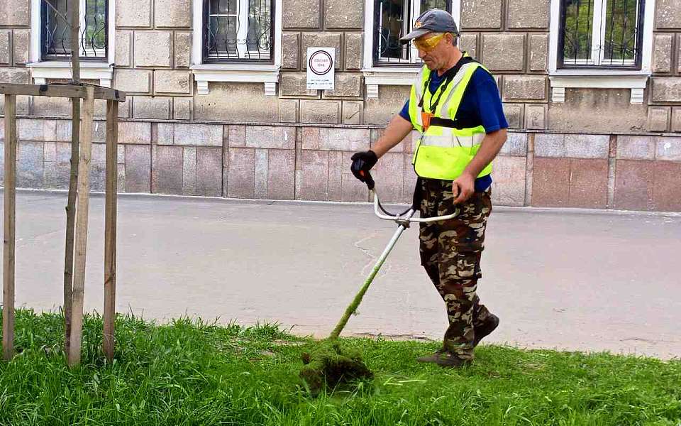 В Ленинском районе продолжаются работы по уходу за озелененными территориями и газонами