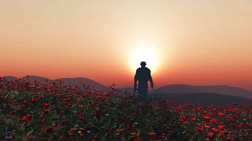 Отец погибшего на СВО воронежского военнослужащего решением суда остался без выплат