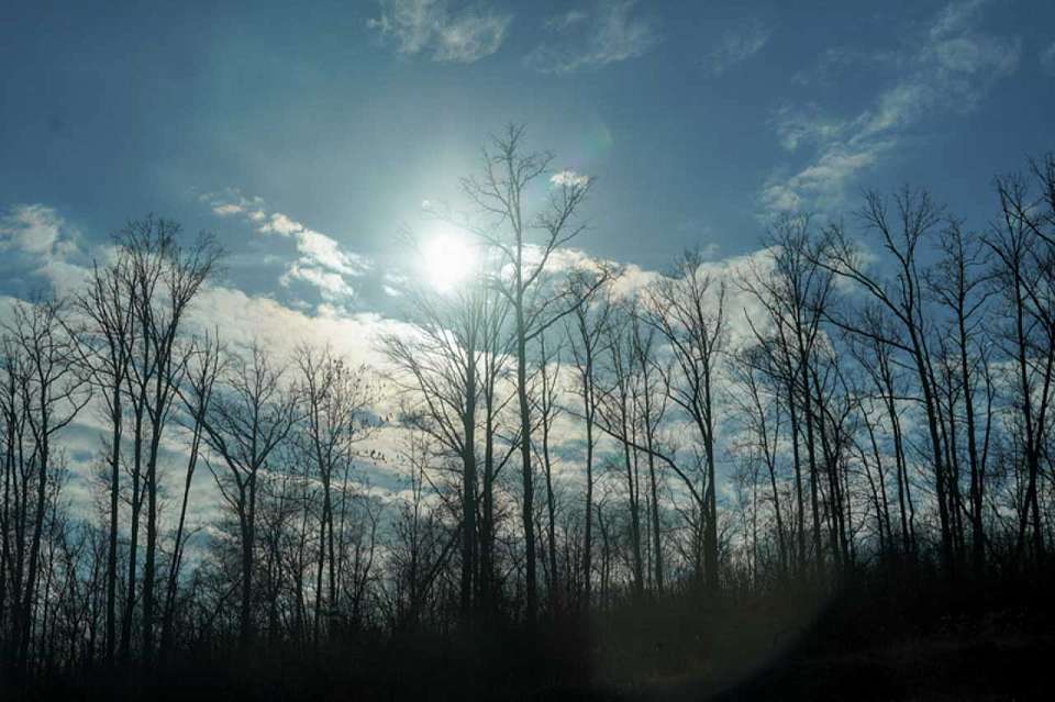 До 2 градусов тепла обещают воронежские синоптики на понедельник, 30 декабря